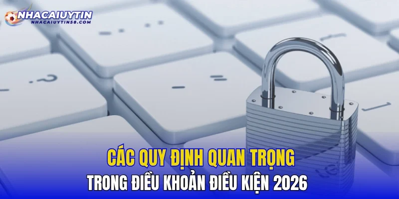 Các quy định quan trọng trong điều khoản điều kiện 2026