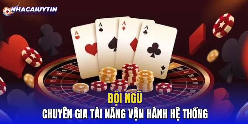 Đội ngũ chuyên gia tài năng vận hành hệ thống