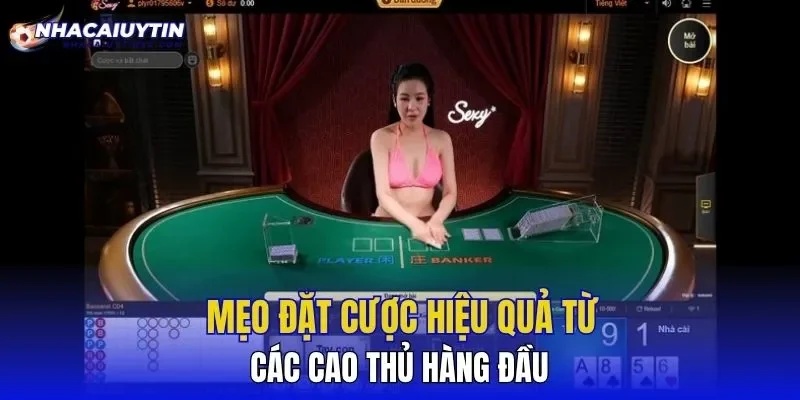 Mẹo đặt cược hiệu quả từ các cao thủ hàng đầu