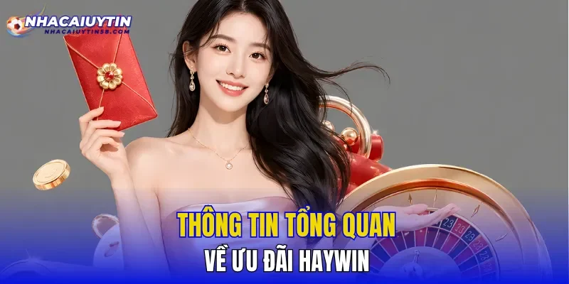Thông tin tổng quan về ưu đãi HAYWIN