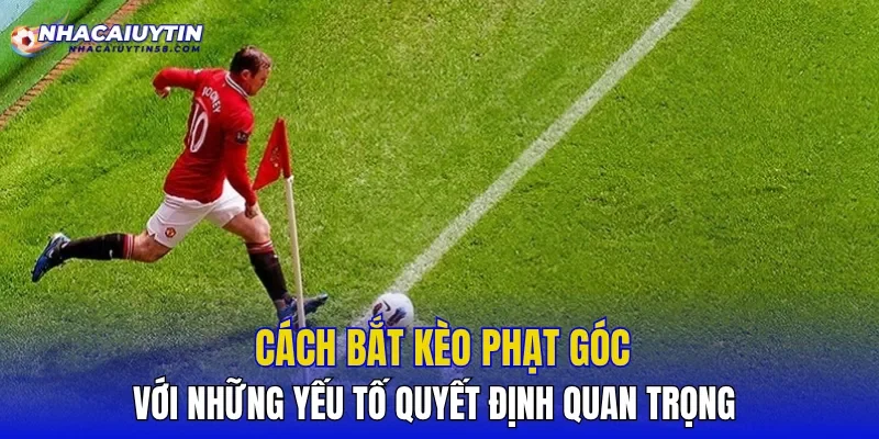 Cách bắt kèo phạt góc với những yếu tố quyết định quan trọng