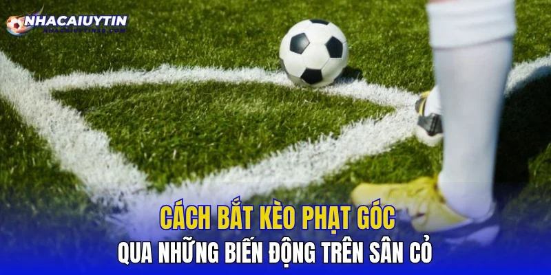 Cách Bắt Kèo Phạt Góc