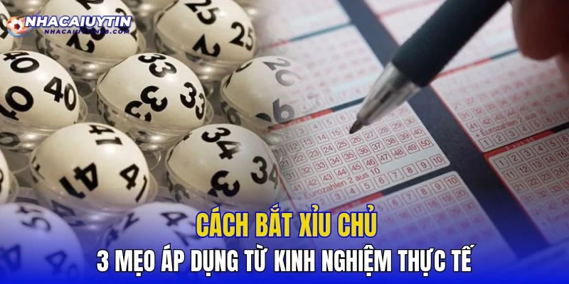 Cách Bắt Xỉu Chủ