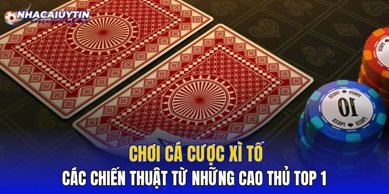Chơi Cá Cược Xì Tố