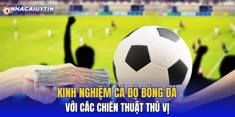 Kinh nghiệm cá độ bóng đá với các chiến thuật thú vị