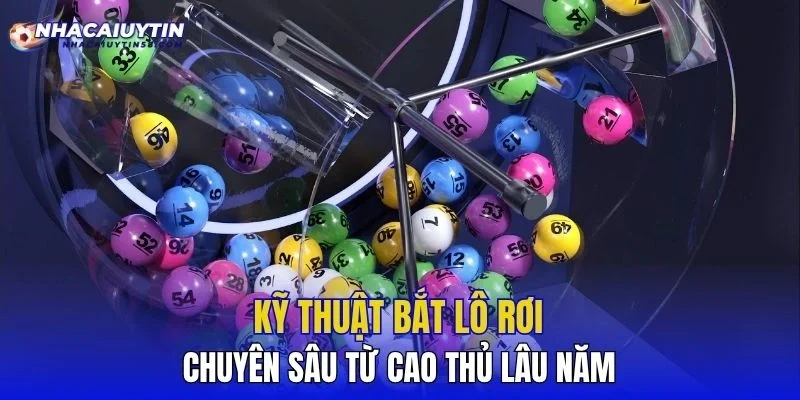 Kỹ thuật bắt lô rơi chuyên sâu từ cao thủ lâu năm