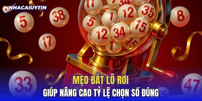 Mẹo bắt lô rơi giúp nâng cao tỷ lệ chọn số đúng