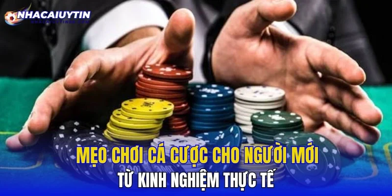 Mẹo Chơi Cá Cược Cho Người Mới