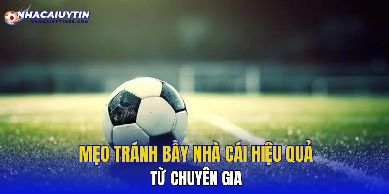 Mẹo tránh bẫy nhà cái hiệu quả từ chuyên gia