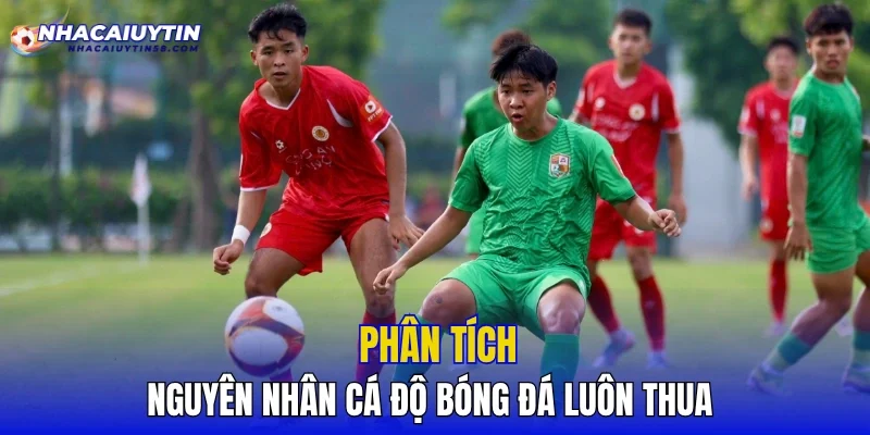 Phân tích nguyên nhân cá độ bóng đá luôn thua