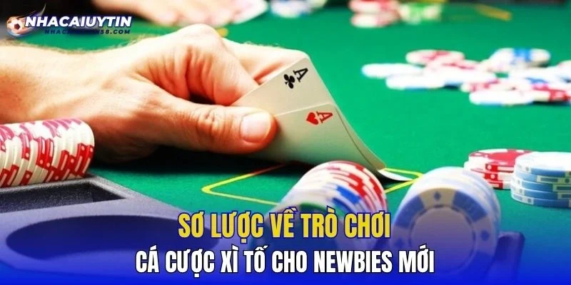 Sơ lược về trò chơi cá cược xì tố cho newbies mới