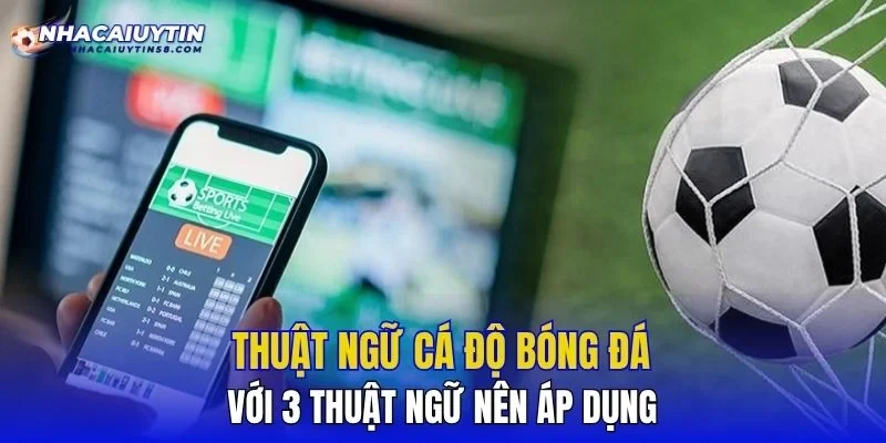 Thuật Ngữ Cá Độ Bóng Đá