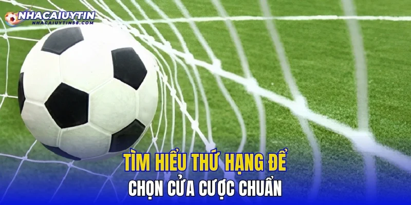Tìm hiểu thứ hạng để chọn cửa cược chuẩn