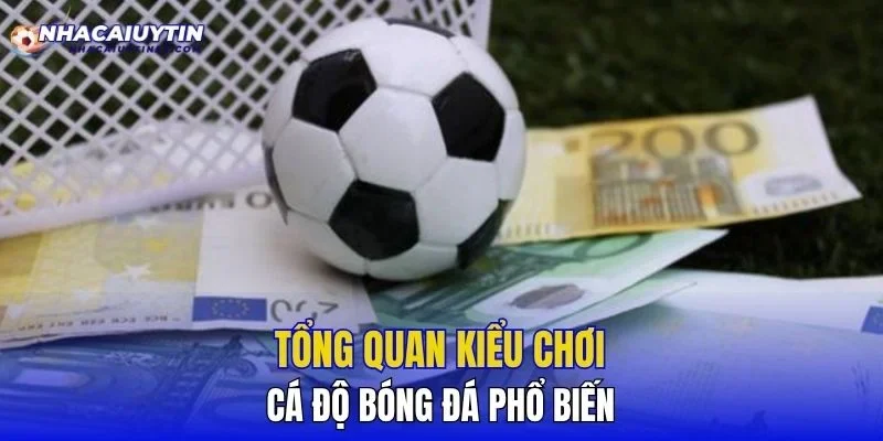 Tổng quan kiểu chơi cá độ bóng đá phổ biến