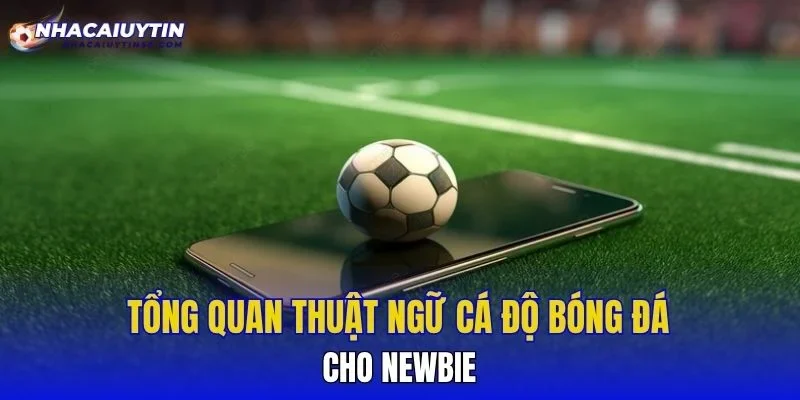 Tổng quan về thuật ngữ cá độ bóng đá cho newbie