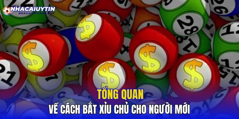Tổng quan về cách bắt xỉu chủ cho người mới